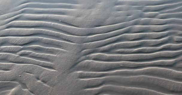 Schöne Muster auf dem Sand aus nächster Nähe — Stockvideo