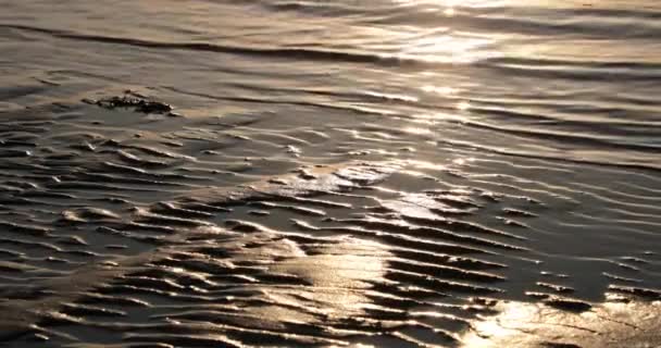 水が流れる美しいパターンを残して砂 — ストック動画