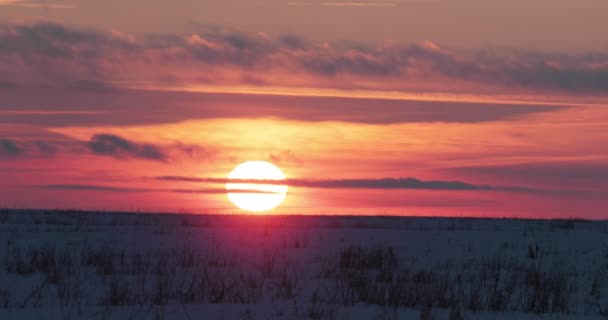 Por do sol no campo de inverno vídeo 4k — Vídeo de Stock