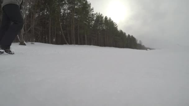 Man steg på en snö täckta dal — Stockvideo