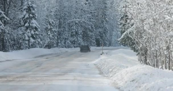 Paseos en coche a lo largo de la carretera de invierno cerca del bosque — Vídeos de Stock