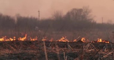 alan burns akşam ve duman geliyor