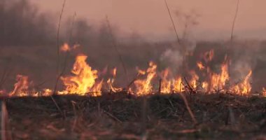 alan burns akşam ve duman geliyor