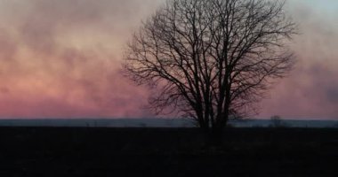 alan burns akşam ve duman geliyor