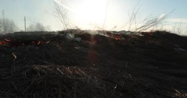 Kuru çimenler gündüz yanar.