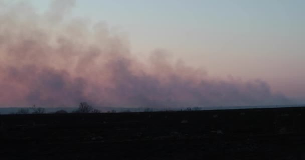 Campo se quema en la noche y el humo se acerca — Vídeo de stock