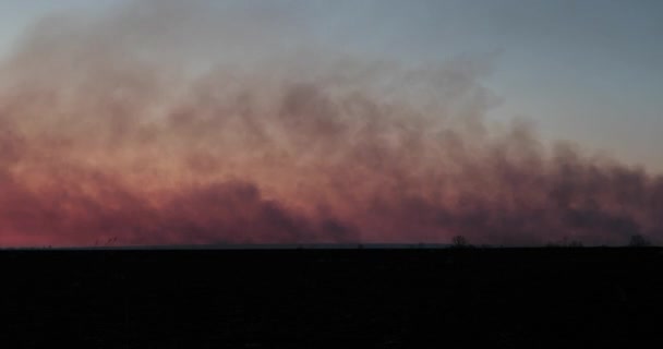 Quemaduras de campo en la noche y el humo está llegando video lapso de tiempo — Vídeo de stock