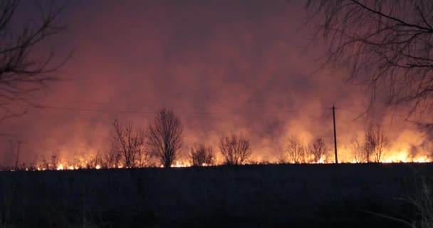 Pole burns ve večerních a kouř se blíží — Stock video