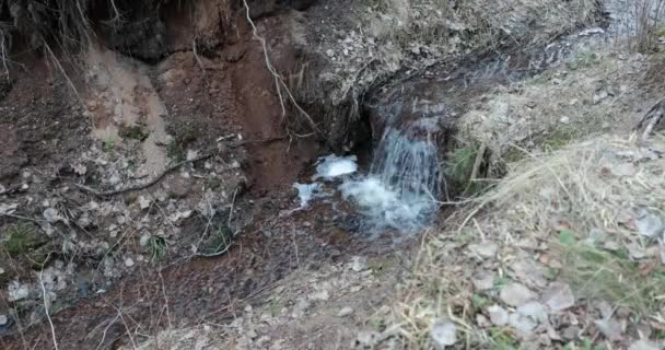 Small waterfall in the forest — Stock Video