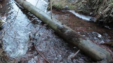 nehir düşmüş ağaç gövdesi tarafından yıkanmış