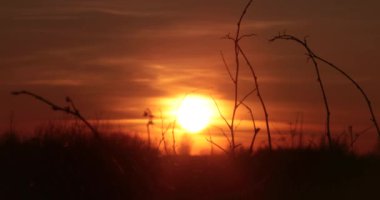 Günbatımı video 4k alanında