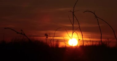 Günbatımı video 4k alanında