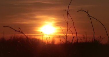 Gün batımı alan zaman atlamalı video