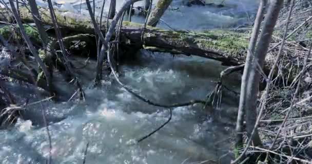 Blidväder och floden rörelse under våren — Stockvideo
