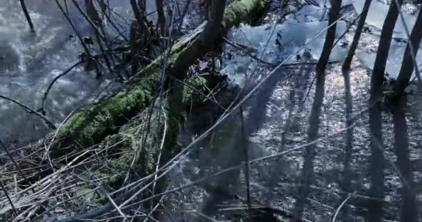 Descongelamento e circulação fluvial na primavera — Vídeo de Stock