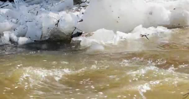 Tauwetter und Flussbewegungen im Frühjahr — Stockvideo