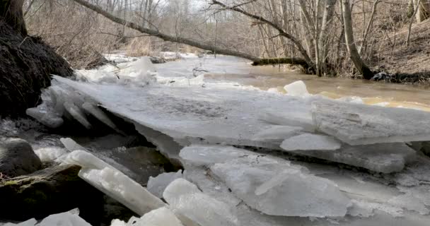 Оттепель и движение реки по широким листьям льда — стоковое видео