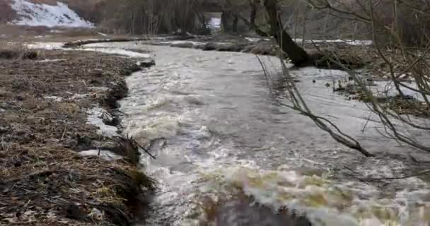 Blidväder och floden rörelse under våren — Stockvideo