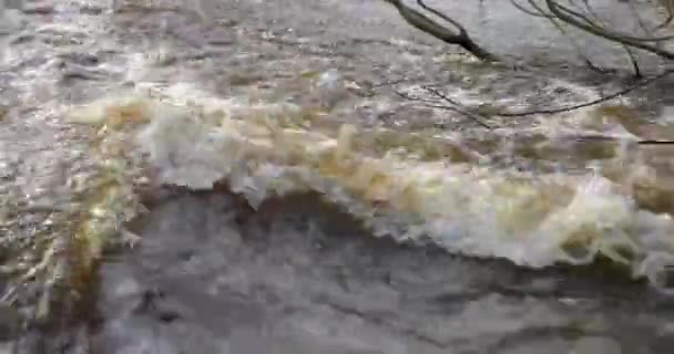 Disgelo e movimento fluviale in primavera — Video Stock