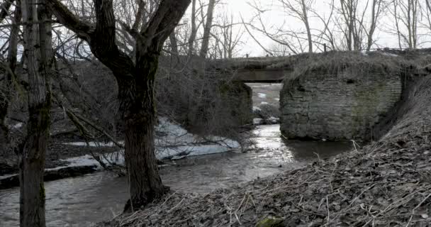 Moto del fiume sotto un ponte di pietra in primavera — Video Stock