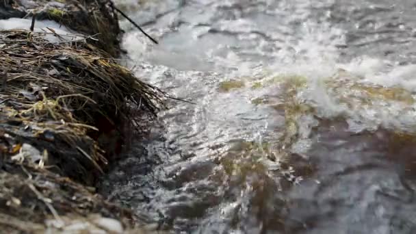 Deshielo y el movimiento del río en la primavera de vídeo en cámara lenta — Vídeos de Stock