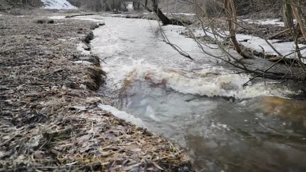 dégel et le mouvement de la rivière au printemps ralenti vidéo 