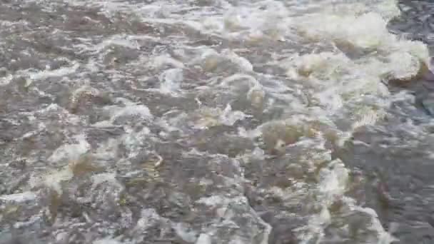 봄 슬로우 모션 비디오에서 눈 녹은 물 및 강 운동 — 비디오