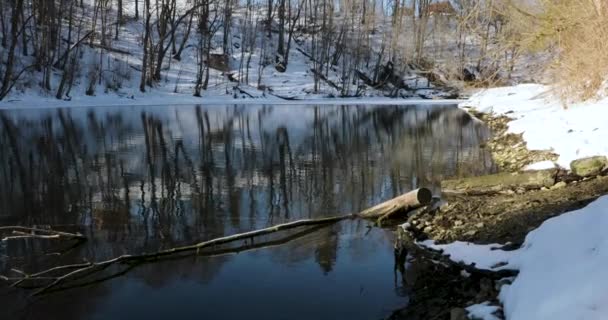 Paysage de la rivière au début du printemps dans lequel les arbres sont reflétés — Video