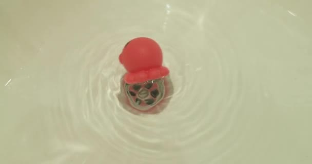 Petit jouet en caoutchouc tournant près d'un siphon sous la douche — Video