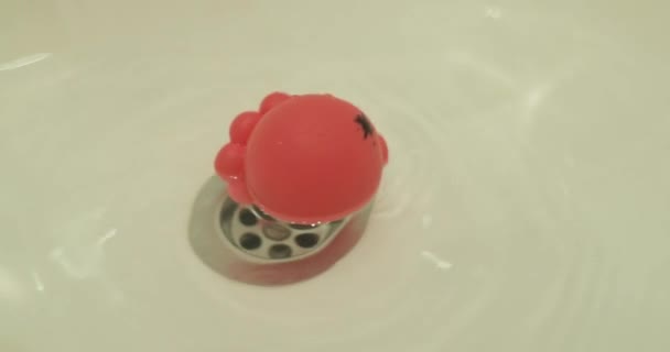 Piccolo giocattolo di gomma che gira vicino a un sifone sotto la doccia — Video Stock