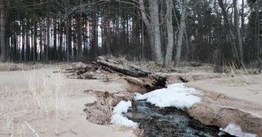 hareket akışı erken Bahar