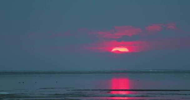 Pôr do sol na costa do Golfo da Finlândia vídeo 4k — Vídeo de Stock