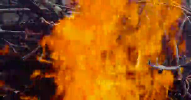 Oheň z suché dřevo na ulici brzy na jaře — Stock video