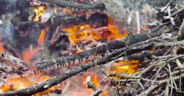 feu de bois sec dans la rue au début du printemps 
