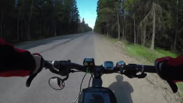 Ποδήλατο ιππασία στο δρόμο μέσα στο δάσος — Αρχείο Βίντεο