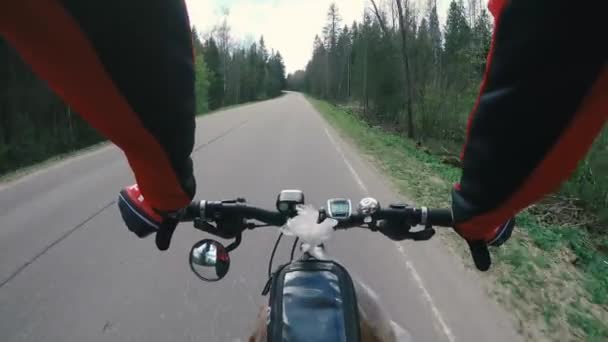 Cykel ridning på vägen i skogen — Stockvideo