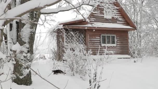 Небольшой деревянный домик в заснеженном зимнем лесу. медленное горизонтальное движение камеры — стоковое видео