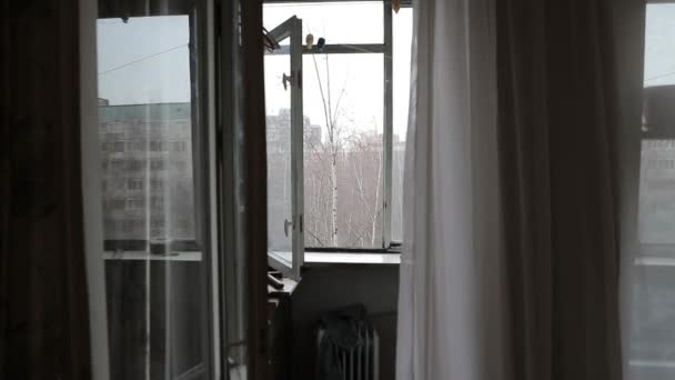 Eski balkona düzgün hareket — Stok video