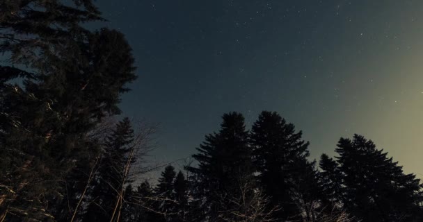 Cielo estrellado en el bosque de invierno timelapse video — Vídeos de Stock