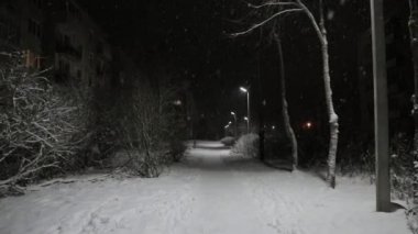 bir gece parkta kar yağışı