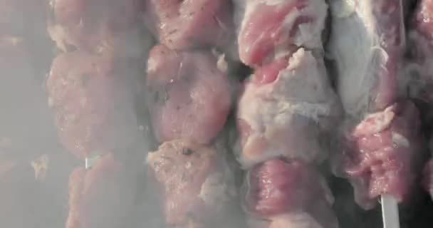 Кебабы готовятся на гриле — стоковое видео