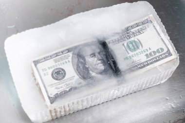 yüz dolarlık banknotlar buzun içinde donmuş bir paket