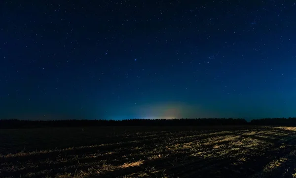 Поле и голубое небо со звездами среди ночи — стоковое фото