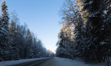 Ormanın kışın izlemek