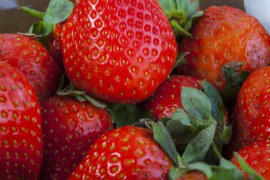 Taze toplanmış çileklerin arka planı, tam üstte..