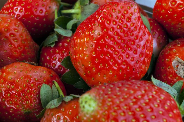 Hintergrund aus frisch geernteten Erdbeeren, direkt darüber. — Stockfoto