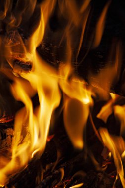 Yangın, siyah bir zemin üzerine alevler. Ateş reklam için. Bir ateş ateş.