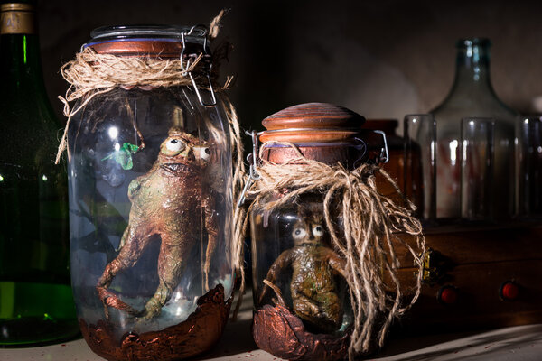 Dead creatures inside mason jars