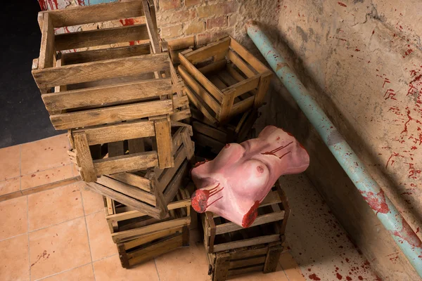 バラバラの女性の胴は木製梱包箱の中で破棄 — ストック写真