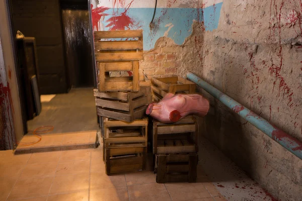 Dişi Gövde terri ahşap kutuları arasında atılan parçalanmış — Stok fotoğraf